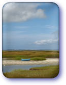 Salt marshes