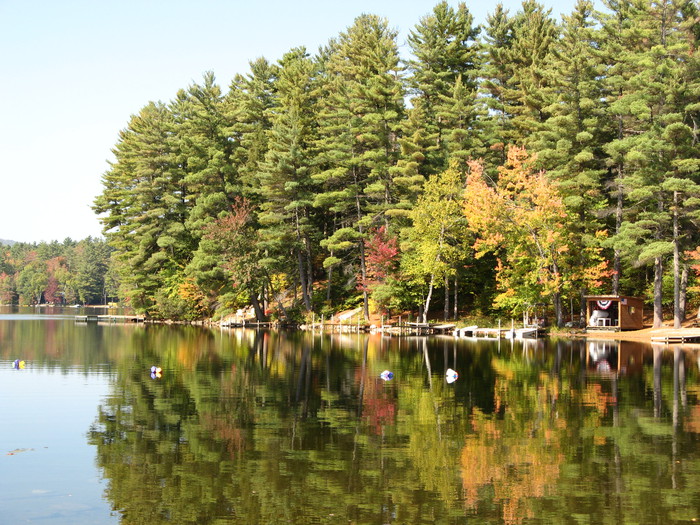 Lake and trees