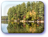 Lake and trees