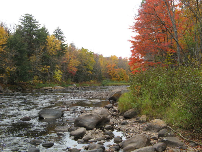 Cedars River