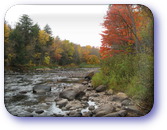 Cedars River