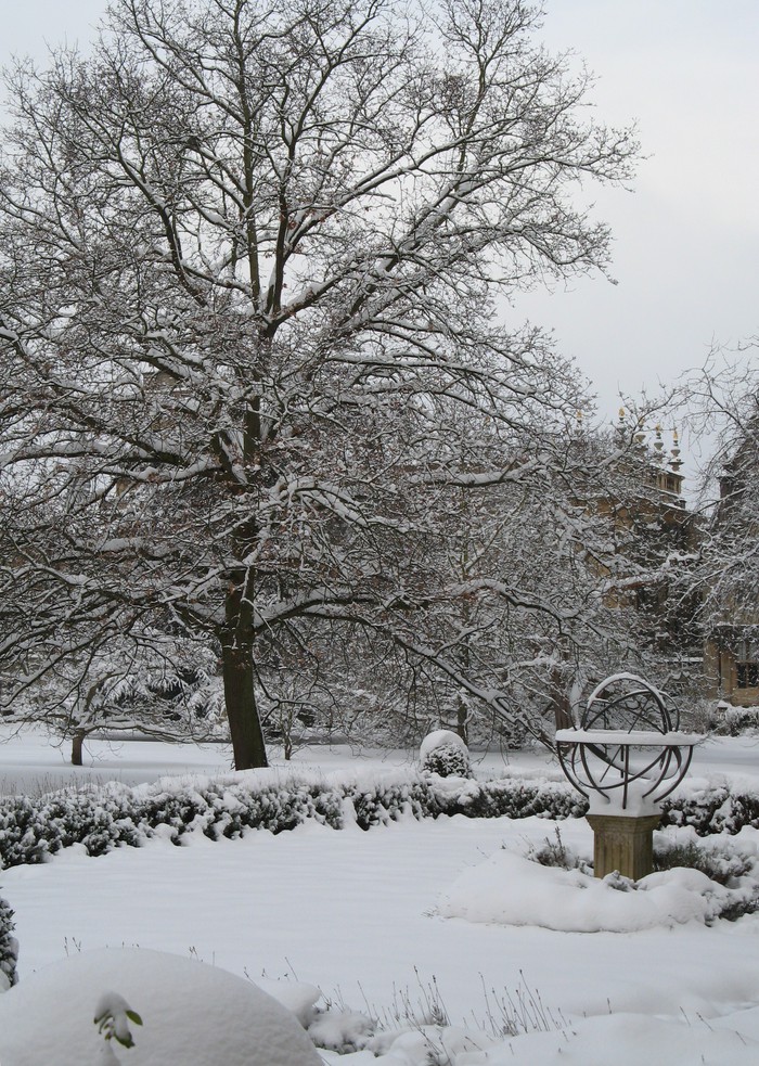 Trinity College garden