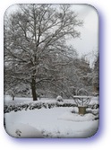 Trinity College garden