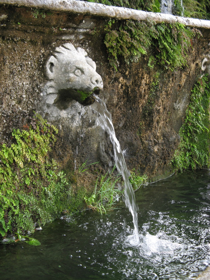 Lion Fountain