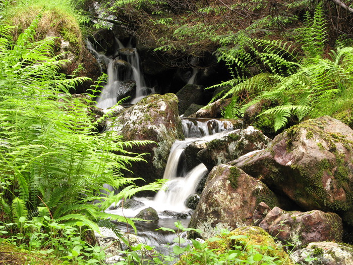 Laide wood waterfall